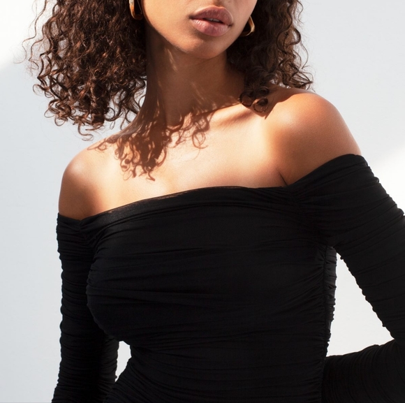 Aritzia Babaton Luxor Longsleeve Mesh Bodycon Mini Dress - Picture 3 of 15